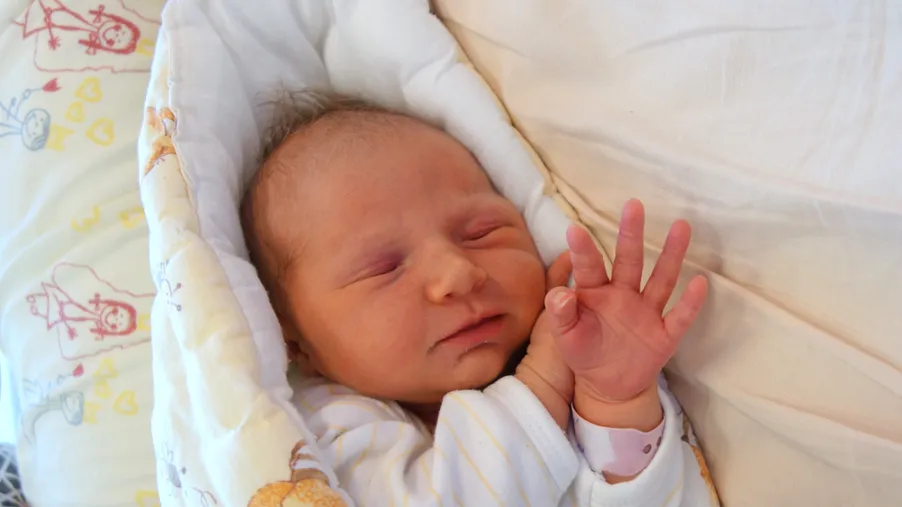 Dorota
